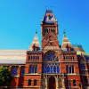 Harvard Awards Scholarships to Assailants